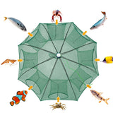 IZAWA Foldable Umbrella Net Crab, Shrimp & Fish Trap – 8 Hole Fishing Trap for River & Pond Fishing in India