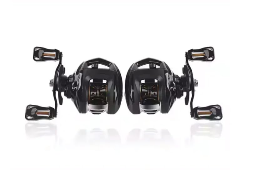 Lizard Camry Baitcasting Reel 11BB 197g – Snakehead Bass Lure India Left Hand