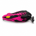 Pink Black