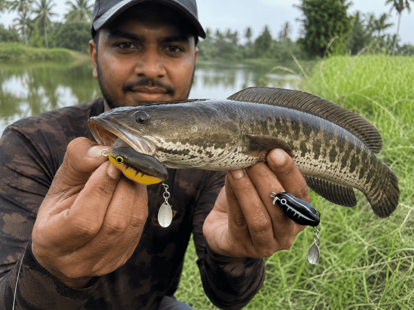 IZZAWA Predator Frog Lure | 2pc | Black-Brown | 4.5cm 8.5g | Topwater Soft Bait for Snakehead, Murrel & Bass