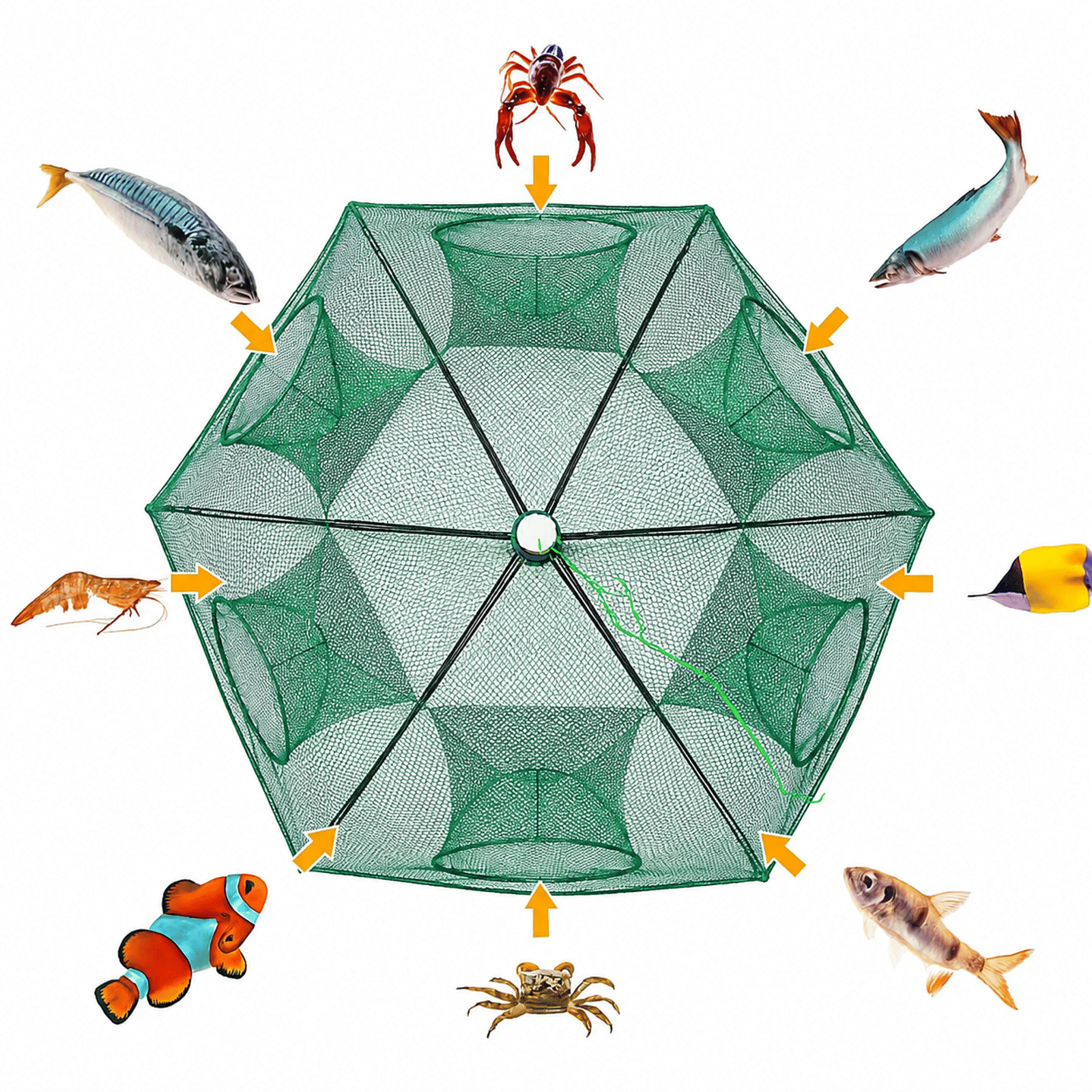 IZAWA Foldable Umbrella Net Crab, Shrimp & Fish Trap – 6 Hole Fishing Trap for River & Pond Fishing in India