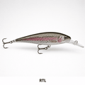 LIVE RAINBOW TROUT