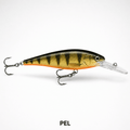LIVE PERCH
