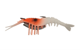 Lucana Live Chemmeen Shrimp Lure Orange Head 10cm – Barramundi Snapper