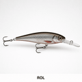 LIVE ROACH