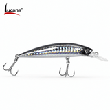 Lucana Sink Park 70mm 16g Sinking Hard Lure - Prism Shad
