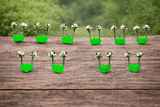IZZAWA Bite Alarm Bells 10pc 16mm Green – Carp Rohu Catla India